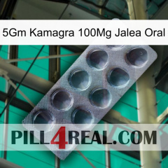 5Gm Kamagra 100Mg Oral Jelly 30